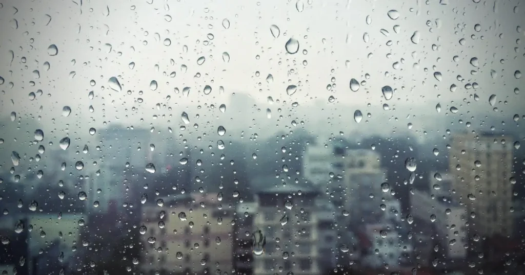雨